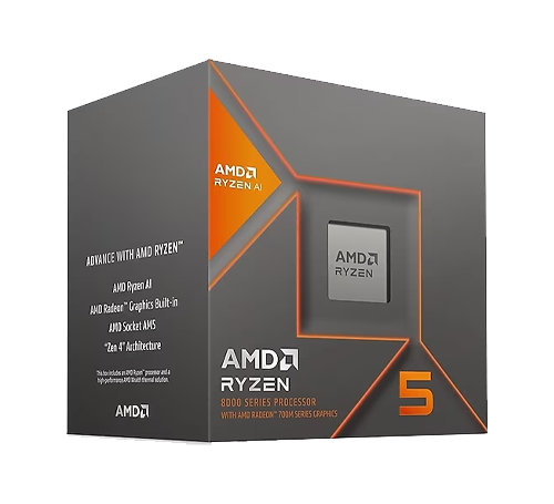 AMD RYZEN 5 8600G